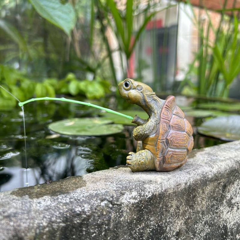 Kaplumbağa Balık Tankı Akvaryu - Fish Aquarium Home incelemesi ve fiyatı