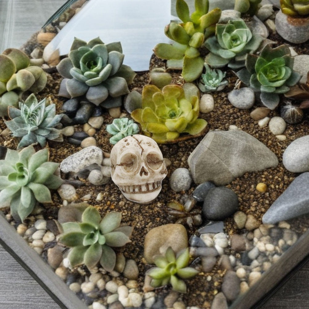 20 Adet Reçine, Güler Yüzlü Ka - Aquarium Decor incelemesi ve fiyatı