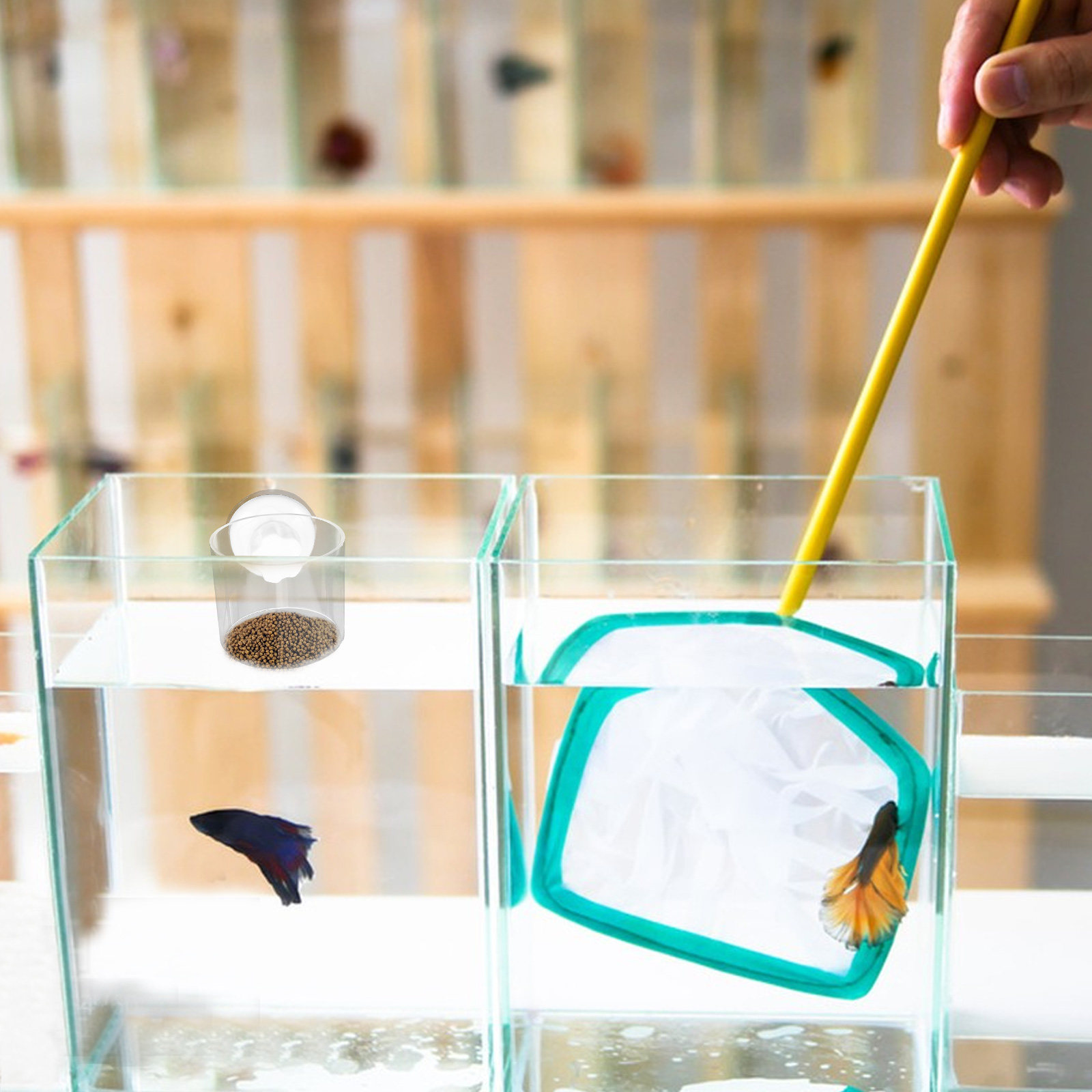 2 Adet Akvaryum Besleme Halkas - Aquarium Fish Keeping incelemesi ve fiyatı