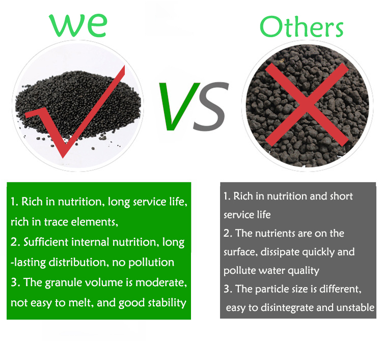 Akvaryum bitki tohumları topra - Fish Tank Gravel incelemesi ve fiyatı