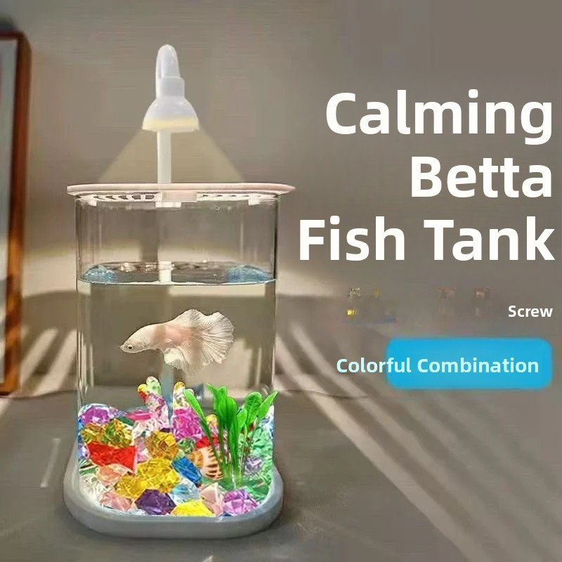 Tam Set Şeffaf Akvaryum Krista - Betta Fish Tank incelemesi ve fiyatı