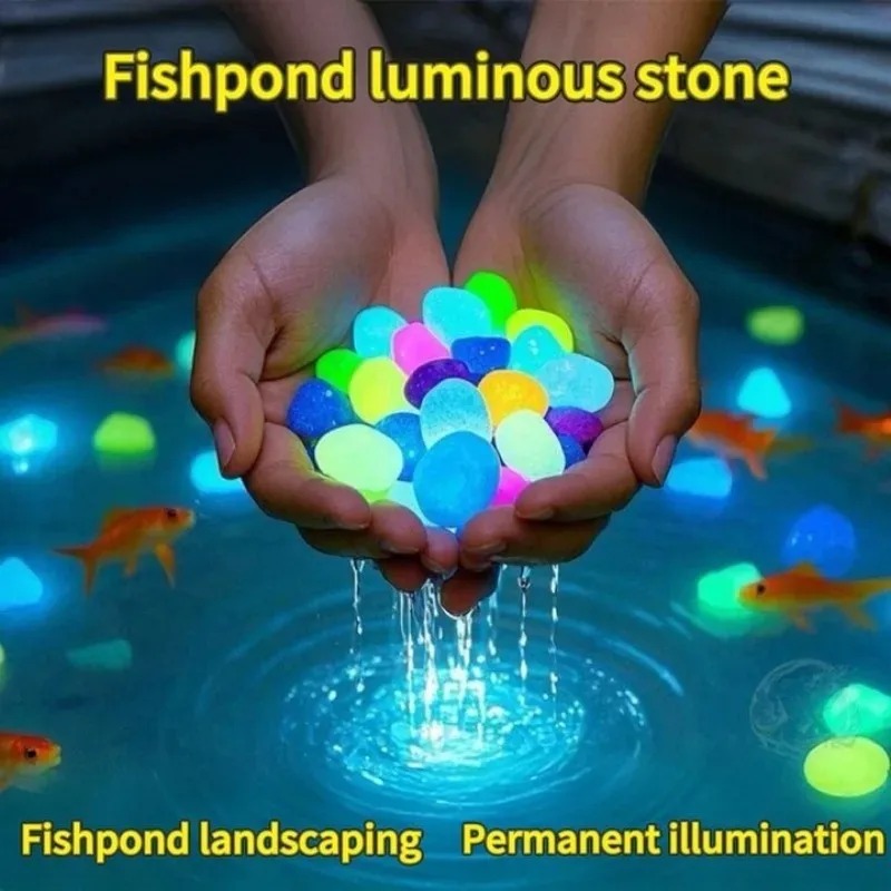 100-1000 adet aydınlık taş bah - Fish Aquarium Home incelemesi ve fiyatı